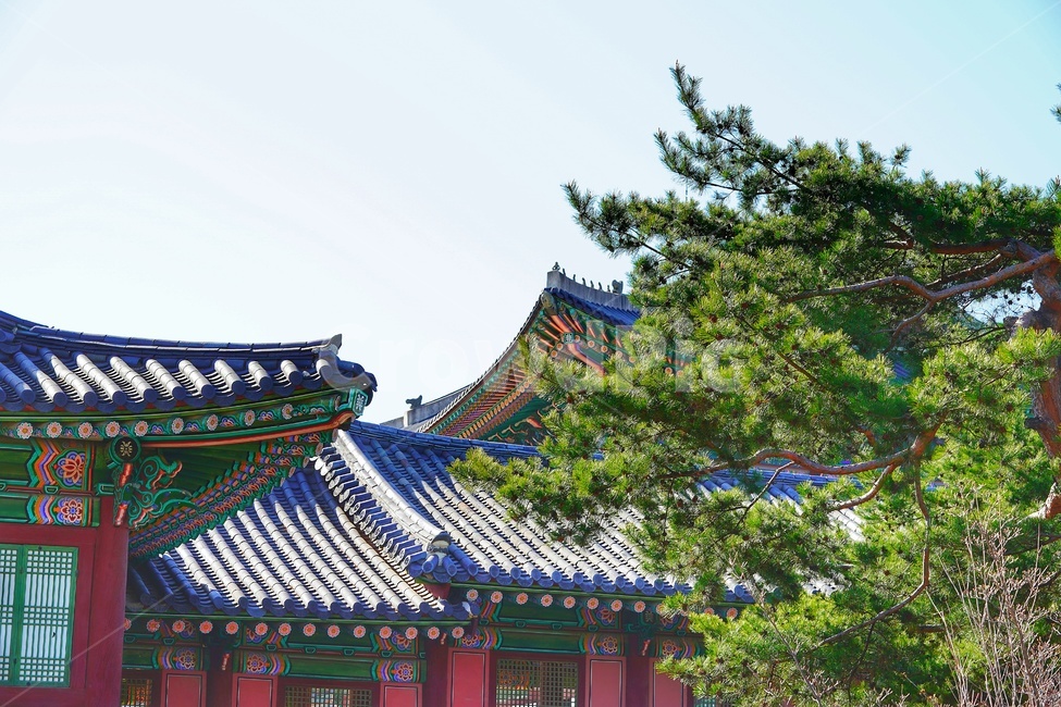 경복궁,palace,shrine,temple,architecture,building,신사,신전,건축물,건물,궁