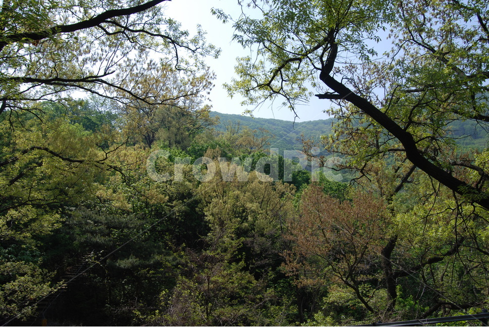 산,mountain,tree,trail,spring,자연,풍경,nature,landscape,나무,plant,식물,outdoors,옥외