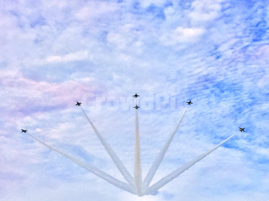 nature,자연,adventure,모험,leisureactivities,레저활동,outdoors,옥외,flying,나는,animal,동물,bird,새,flite,fly,sky,cloud,솜사탈,솜사탕,구름,무지개,rainbow