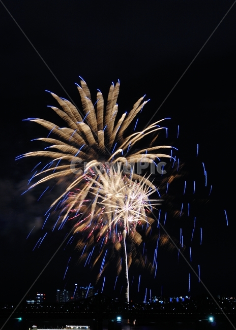 nature,자연,outdoors,옥외,불꽃축제,야경,밤,풍경,nightscape,night,landscape,축제,행사,festival,carnival,event