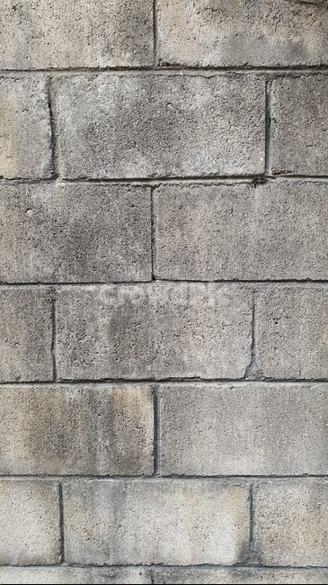 텍스쳐,텍스처,소스,이미지소스,백,back,path,wall,벽