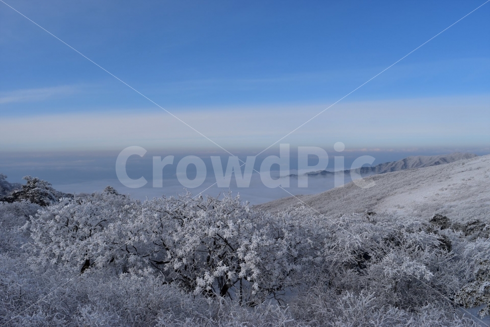 소백산,눈꽃풍경,상고대,겨울풍경,국립공원,겨울동화,눈풍경,파란하늘,100대명산,겨울명산,설경,서리꽃,영동,snow,landscape,자연,풍경,nature,landscape,겨울,계절,winter,season,outdoors,옥외