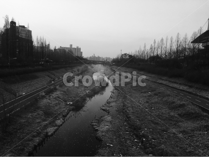 흑백,흑백사진,차분한,블랙,분위기,자연,풍경,nature,landscape,흑백,모노톤,monochrome,black and white,ditch,도랑