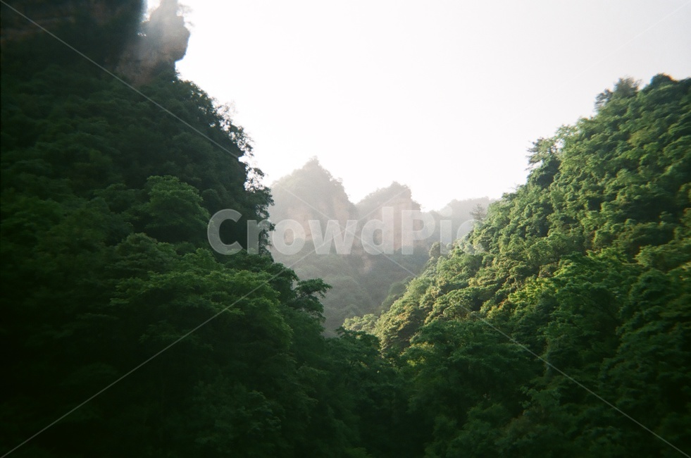 산,자연,장가계,나무,숲,중국