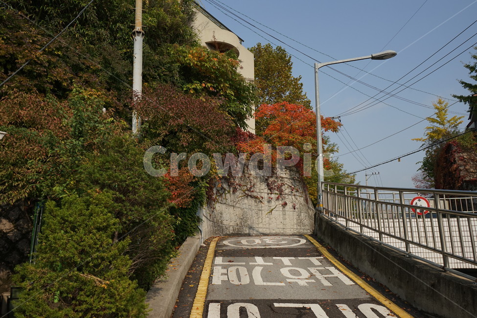보호구역,육교,오르막,가로등,공원,봄,초록,계절,가을,낙엽,낙엽잎,노랑초록,가을같은,가을,계절,fall,autumn,season,asphalt,아스팔트,road,도로