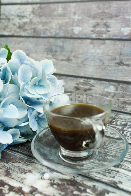 꽃,커피,차한잔,차잔,카페,커피,카페,coffee,cafe