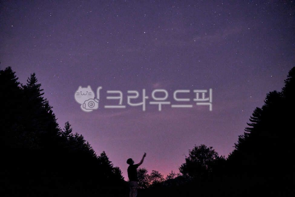 보라빛밤하늘,별,남자,남자옆모습,strar,산,핑크빛하늘,은하수,벗고개,밤하늘,별빛,은하,nature,자연,나무,trees,outdoors,옥외,pinksky,별이빛나는하늘,야경,밤,풍경,nightscape,night,landscape