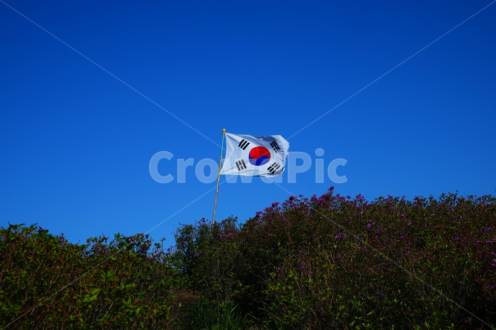 황매산,합천군,철쭉,풍경,산,자연,풍경,nature,landscape,한국자연풍경,한국자연경관,korea nature landscape,flag,깃발,symbol,상징
