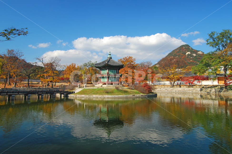 경복궁,향원정,정자,고궁,궁,궁궐,하늘,연못,명소,단풍,가을,가을풍경,건축,전통,한국,한국전통,전통건축,전통건축물,건물,반영,계절,다리,자연,배경,백그라운드,풍경,나무,숲,구름,사적,역사,문화재,기와,물,물결,아름다운,서울