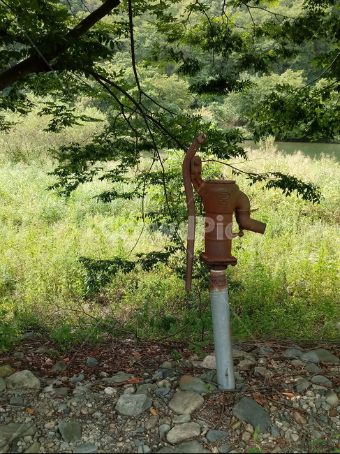 자연,풍경,여름,물,물펌프