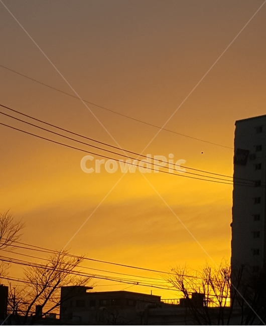 하늘,노을,붉은노을,저녁,도시,도시,풍경,city,landscape,실루엣,그림자,silhouette,shadow,cable,케이블,power lines,전력선