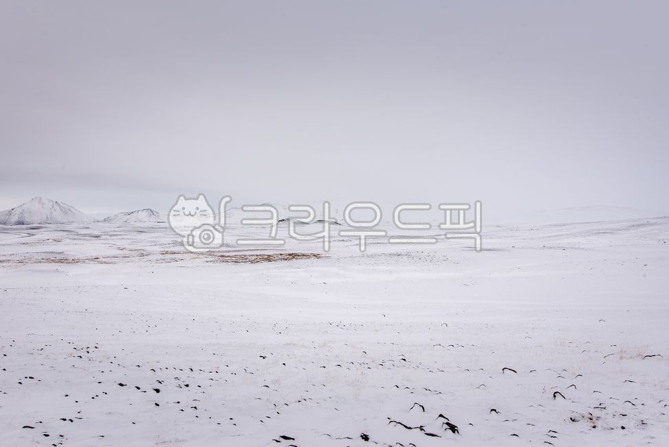 아이슬란드,iceland,유럽,europe,북유럽,northeurope,자연,nature,해외,overea,풍경,landscape,겨울,winter,눈,snow,눈보라,blizzard,outdoors,옥외,mountain,산