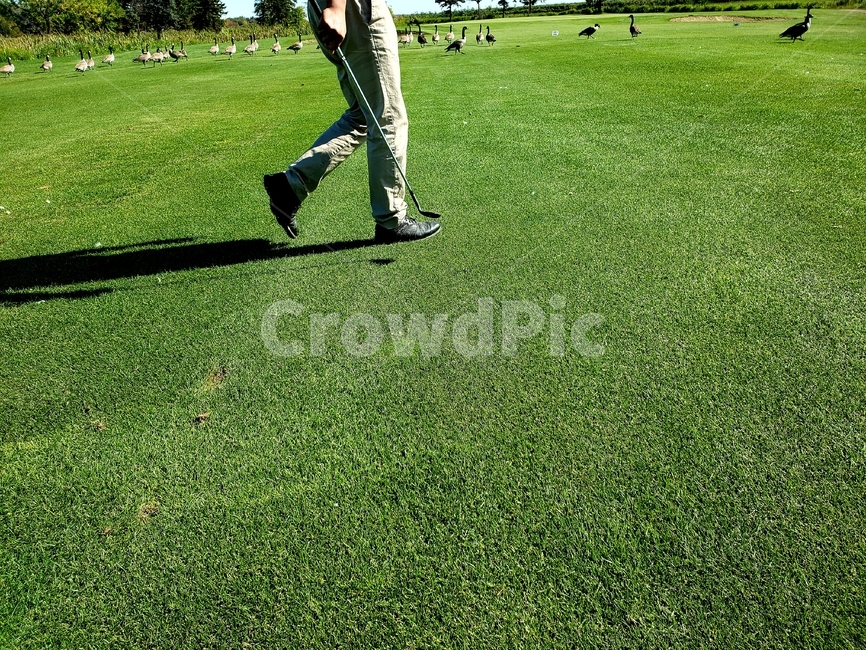 person,사람,human,인간,잔디,기러기,스포츠,레저,운동,sports,leisure,exercise