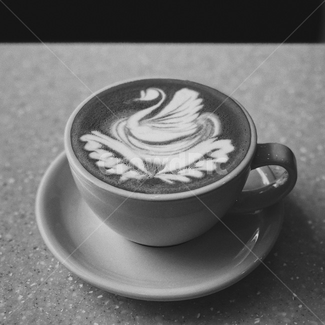 커피,라떼아트,커피아트,latteart,coffeeart,coffee,커피,카페,coffee,cafe,흑백,모노톤,monochrome,black and white