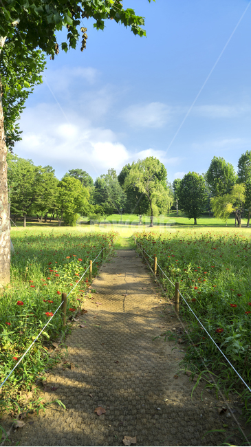 grassland,목초지,field,outdoors,옥외,nature,자연,farm,countryside,하늘,풍경,들판,자연,풍경,nature,landscape,나무,trees,wood,들,rural,농촌,농장