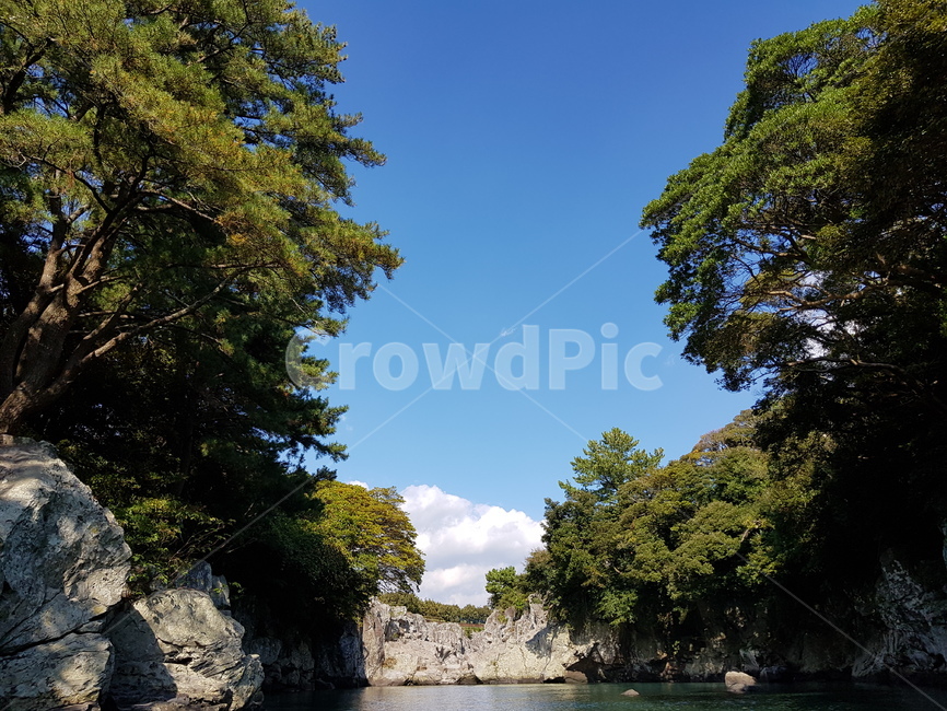제주도,천지연폭포,여름하늘,숲,하늘,구름,돌,호수