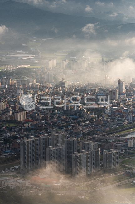 도시,빌딩,아파트,건물,건축물,운해,안개,날씨,주택,도시풍경,전경,들판,주거지