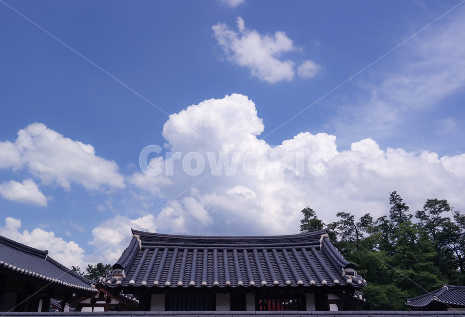 구름,전통적,기와집,한옥,하늘,여름,한국적,전통,문화,기와,나무,asia,korea,culture,koreanstylehouse,house,sky,traditional,한국전통,한국문화,korean traditional,korean culture,건축물,건물외관,exterior,building,structure,architecture,construction