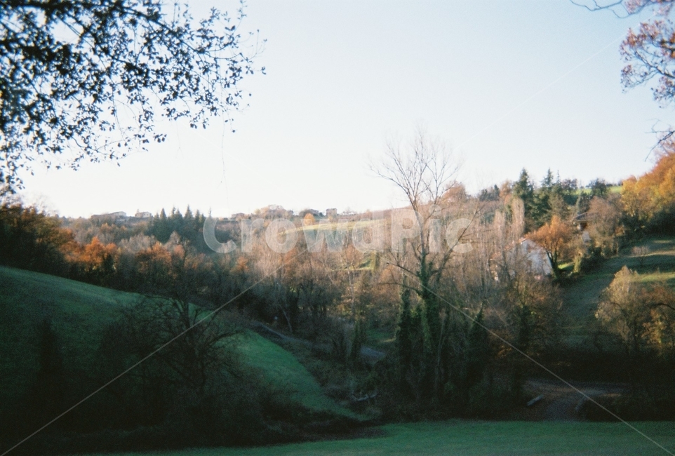 나무,숲,자연,그림자,산,해외풍경,필름카메라,tree,forest,shadow,mountain,filmcamera,italy,europe,자연,풍경,nature,landscape,plant,식물,fir,전나무