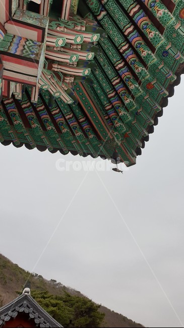 풍경,풍경소리,절,기와,단청,전통