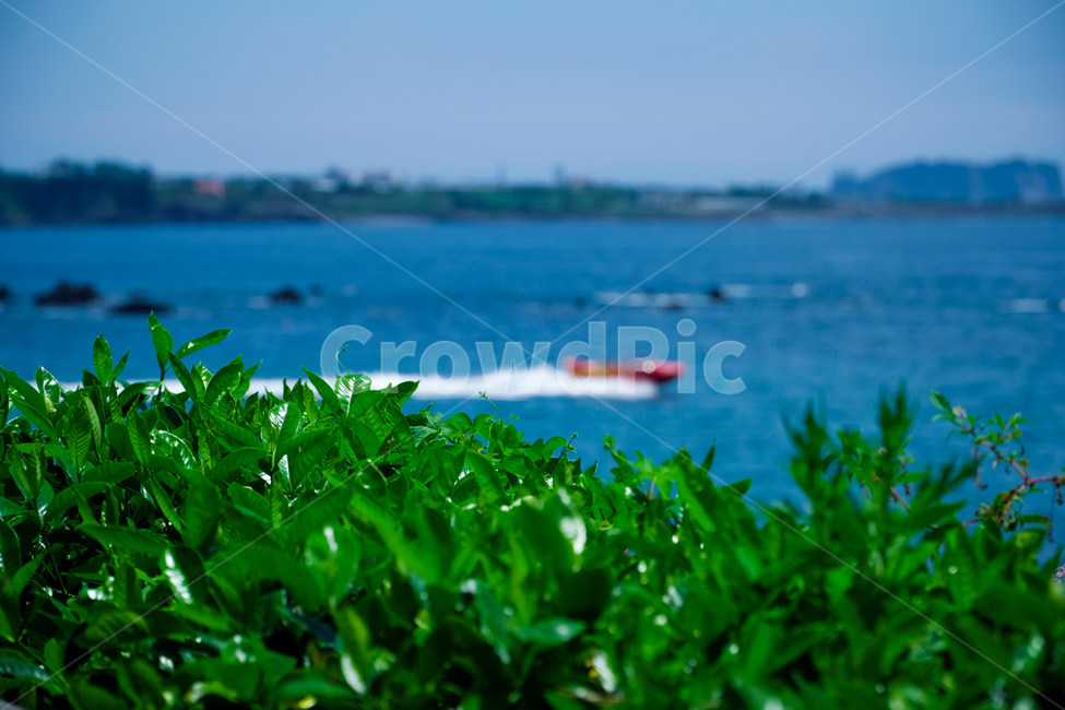 바다,여름,하늘,배,구름,제주도,휴가,휴식,힐링,스포츠,레져,nature,summer,sea,sky,boat,landscape,healing,relaxation,leisure