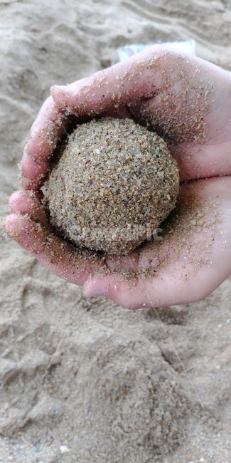 모래,모래놀이,손,해변,해수욕장,흙,sand,hand