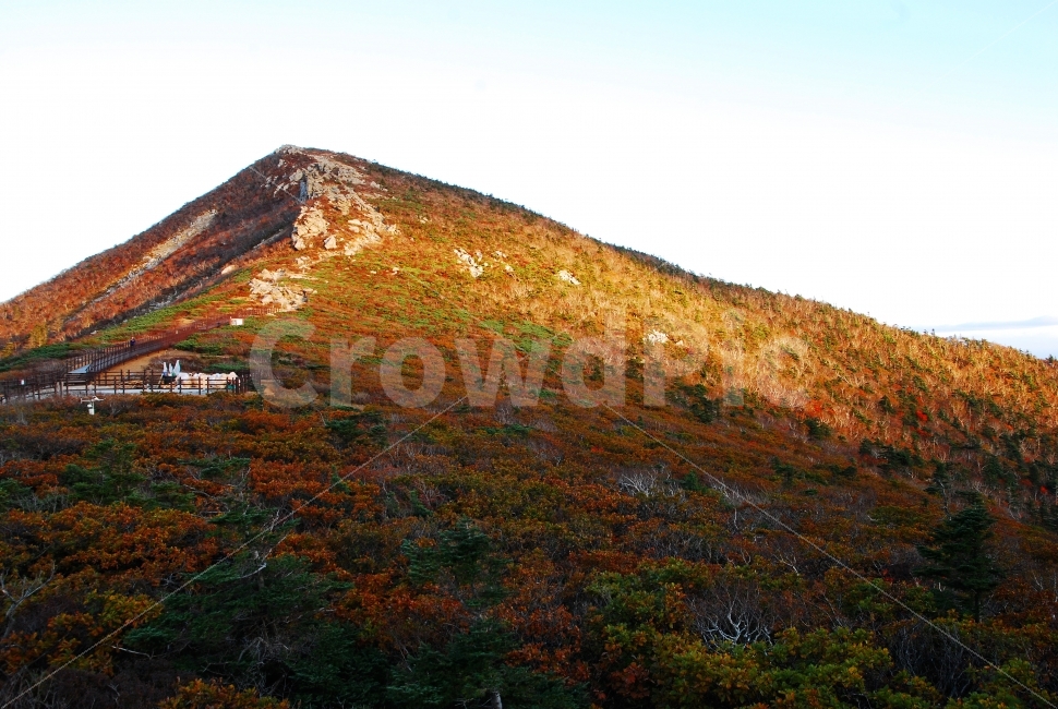 대청봉,가을,설악산,국립공원,단풍,시즌,계절,단풍잎,leaf,season,maple,시안,디자인,디자이너,출판,편집,책자,서적,사보,카다로그,콘텐츠,리플렛,브로셔,모바일,팝업,전단,광고,색감,칼라풀,아름다운,뷰티풀,beautiful,sns,ebook,웹,마케팅,마켓팅,느낌,서정,나뭇,봉우리,능선,찬란한,화려한,mountain,autumn,fall,red,colorful,emotion,feeling,10월,그림같은,힐링,알록달록,울긋불긋,자연,식물,숲,산,명소,절경,산행,등산,관광,절정,빨강,노랑,초록,가을산,풍경,가을,계절,fall,autumn,season,자연,풍경,nature,landscape,한국자연풍경,한국자연경관,korea nature landscape,outdoors,옥외,hill,언덕