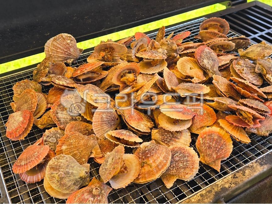 bbq,barbecue,outdoor cooking,barbecue party,grill cooking,hot plate cooking,camping cooking,picnic,smoky flavor,backyard bbq,summer bbq,outdoor cooking,grilling,barbecue,scallop,scallop grill