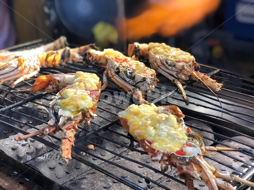 음식,즉석요리,랍스타,치즈,직화구이,야시장,food,bbq,음식,식재료,요리,food,cook,meal,dishes,food reserves