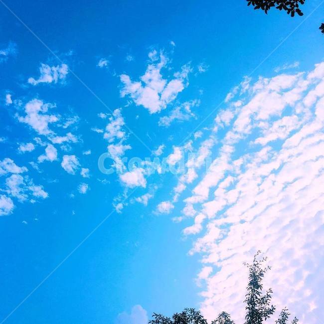 sky,cloud,blue sky,pretty clouds,winged clouds,walk,horizontal sky