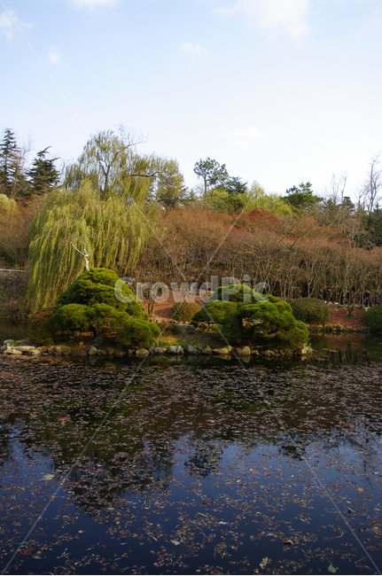연못,가을,fall,나무,식물,plant,단풍,잎,풍경,가을,계절,fall,autumn,season,자연,풍경,nature,landscape,water,물,outdoors,옥외,land,땅