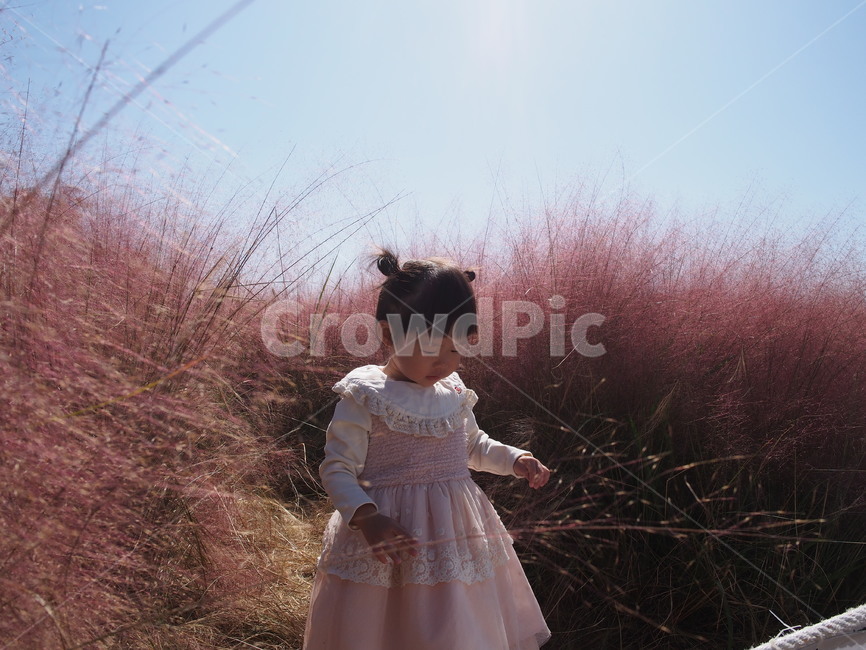 예쁜,아기,공주,핑크뮬리,사랑스런,가을,계절,fall,autumn,season,사람,인물,인간,human,person,어린이,어린아이,child,children,kid,dress,드레스
