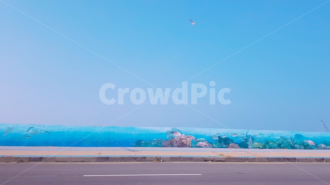 해안선,제주도,파랑색,풍경,adventure,모험,leisureactivities