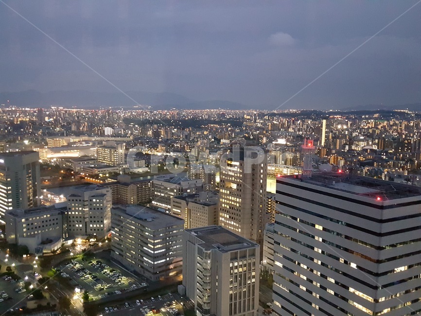 일본,후쿠오카타워,야경,경치,경관,야경,밤,풍경,nightscape,night,landscape,도시,city