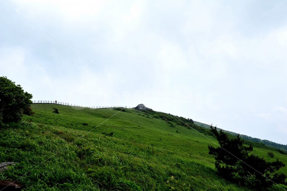 여행,등산,소백산,산,철쭉,자연,풍경,nature,landscape,outdoors,옥외,hill,언덕,grassland,목초지,field,들
