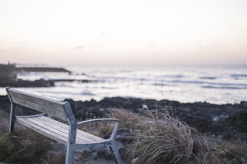 벤치,bench,의자,쓸쓸함,겨울,바다,외로움,홀로,자연,풍경,nature,landscape