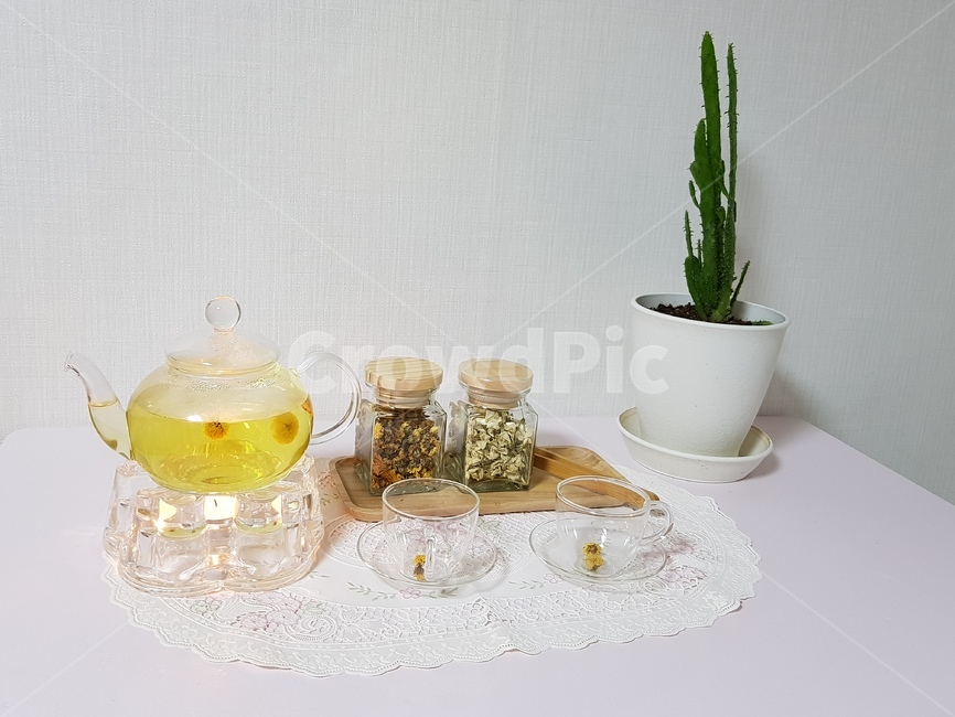 유리잔,국화차,아카시아차,차,말린국화,노란색,흰색,녹색,선인장,마블선인장,다육이,음료수,drink,beverage
