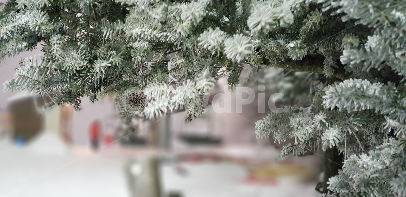 겨울,눈,포커스아웃,리프트,스키장,겨울,계절,winter,season