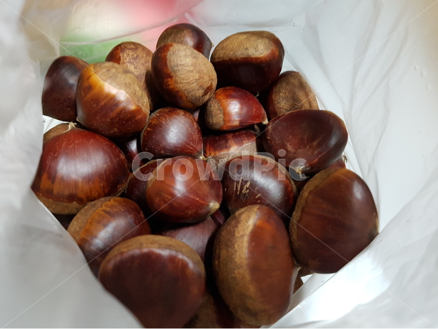 밤,알밤,chestnut,갈색,윤기,가을,계절,fall,autumn,season,음식,식재료,요리,food,cook,meal,dishes,food reserves,plant,식물