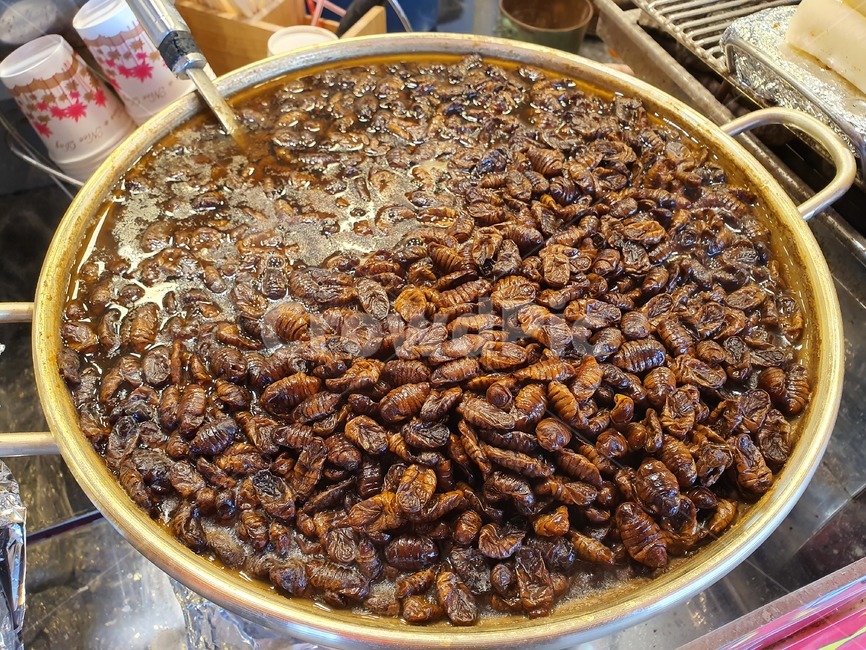 plant,식물,번데기,간식,음식