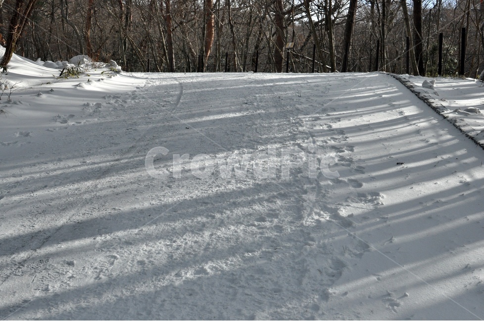 겨울,눈,눈길,그림자,눈그림자,나무,하얀눈,줄무늬,스트라이프,snow,snowyroad,발자국,눈발자국,겨울산,겨울,계절,winter,season,자연,풍경,nature,landscape,outdoors,옥외