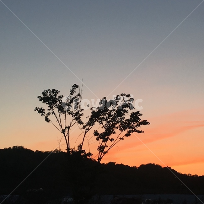 자연,노을,감성,그림자,거리,풍경