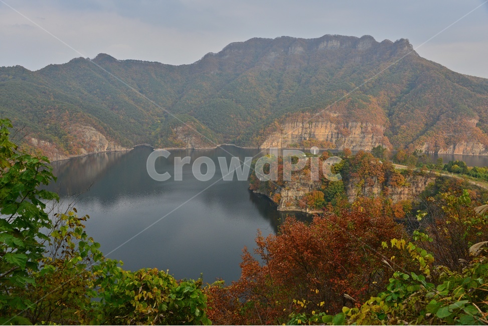 tree,나무,plant,식물,leaf,잎,maple,단풍,화순,적벽,화순적벽,적벽가을,계절,추색,만추,가을,nature,자연,outdoors,옥외,물,강
