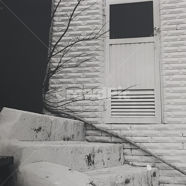 길거리,흑백,문,계단,나뭇가지,흑백,모노톤,monochrome,black and white