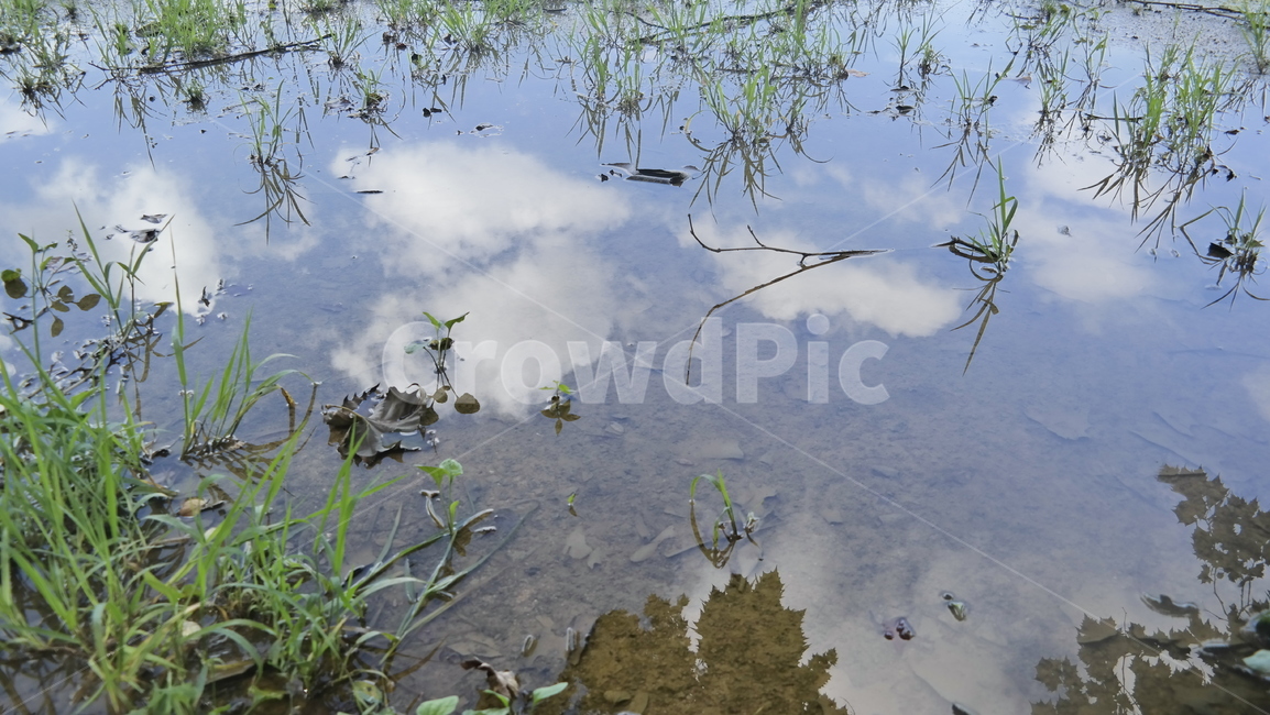 자연,풍경,반영,비,구름,하늘,비온뒤갬,자연,풍경,nature,landscape,outdoors,옥외,land,땅,water,물