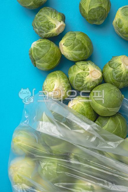 mini cabbage,cabbage,vegetable,Brussels Sprouts,food,Food Ingredients,ingredients,fresh food,fresh,organic