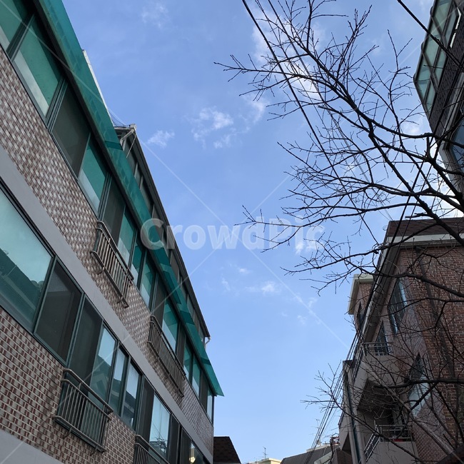 하늘,건물,감성,구름,맑음,아침,점심,산책길,배경,도심,주택,도시,풍경,city,landscape,banister,난간,handrail