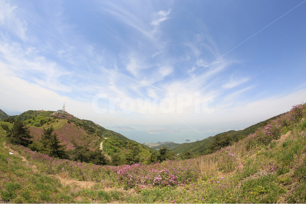 남해,남해바다,철쭉,철쭉군락지,망운산,하늘,바다,봄,5월,봄,계절,spring,season,자연,풍경,nature,landscape,한국자연풍경,한국자연경관,korea nature landscape,outdoors,옥외