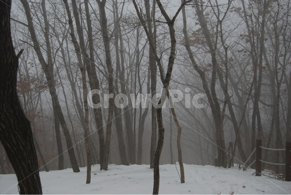 등산,계방산,힐링,자연,겨울,겨울산행,감성,풍경,계절,겨울이미지,겨울,계절,winter,season,자연,풍경,nature,landscape,한국자연풍경,한국자연경관,korea nature landscape,weather,날씨,outdoors,옥외