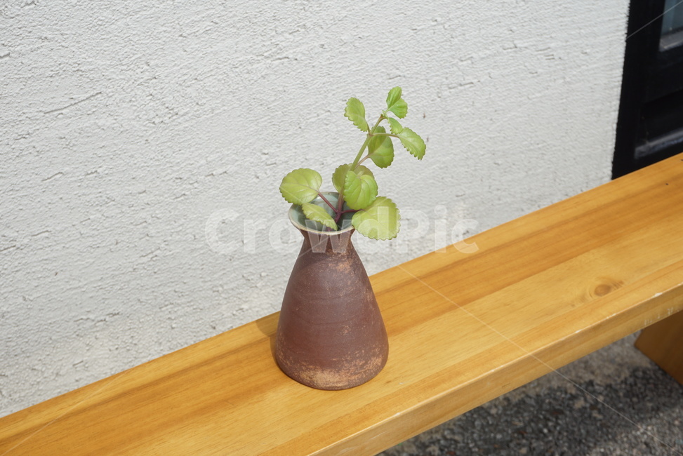 도자기,도자기작품,화병,수경재배,식물,pottery,vase,식물,자연,plants,nature